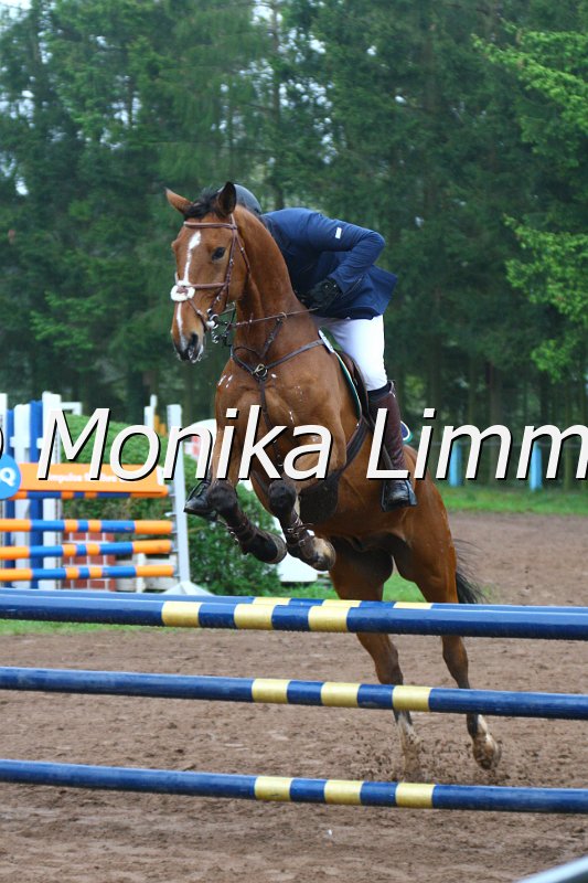 005L4559_Luitpold_Springpferde A xx.JPG